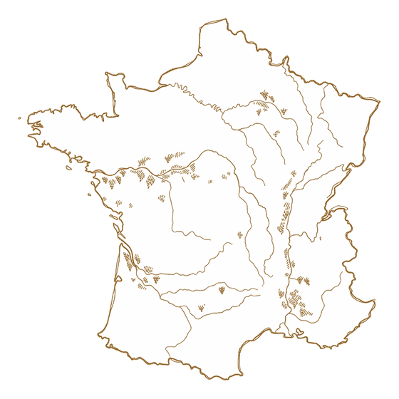 Hand-drawn line map of France, a wine region poured aboard WineVoyage in Miami
