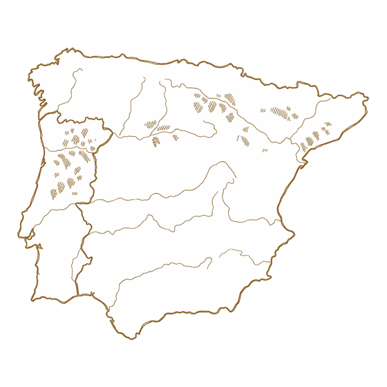 Hand-drawn line map of Spain, a wine region poured aboard WineVoyage in Miami