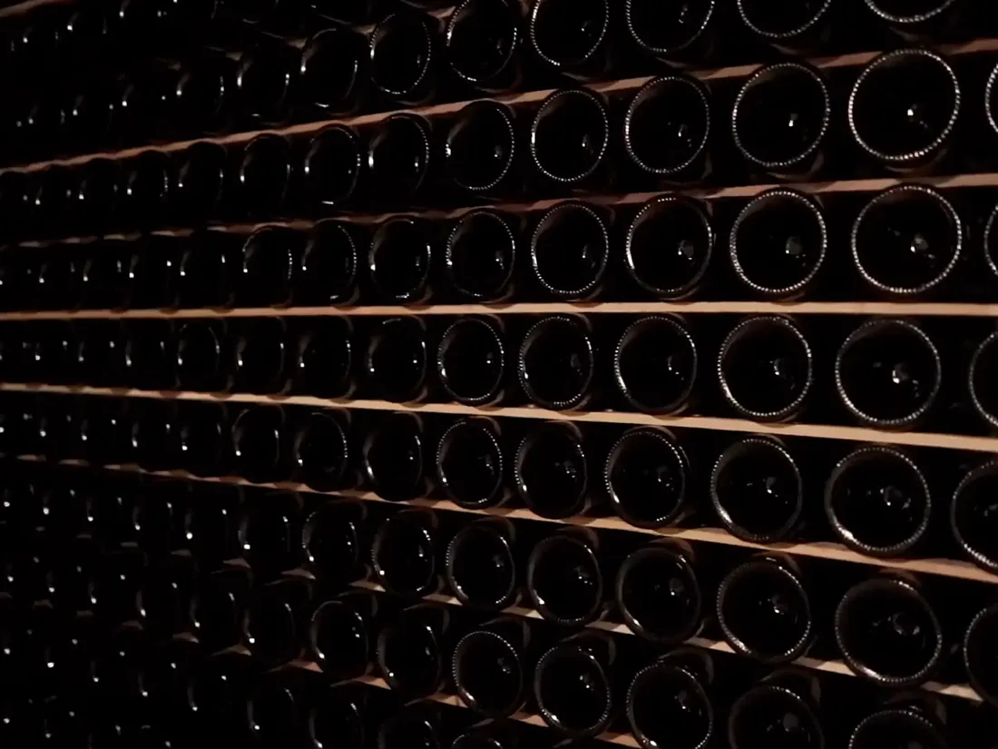 Bottles resting in racks at the Antigal winery in Mendoza