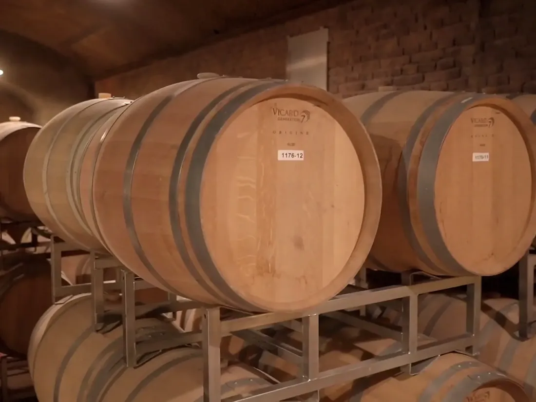 Oak barrels ageing in the underground cellars at Antigal in Mendoza