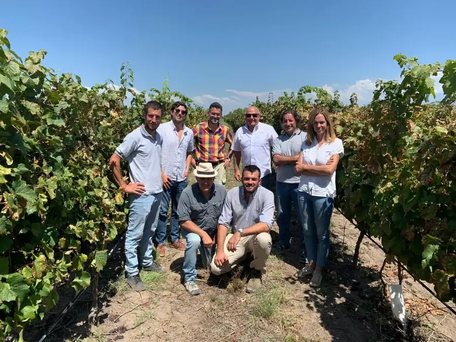 The Antigal team standing among the vines at the estate in Mendoza