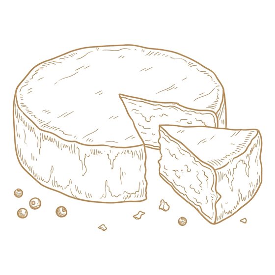 Line illustration of a brie wheel