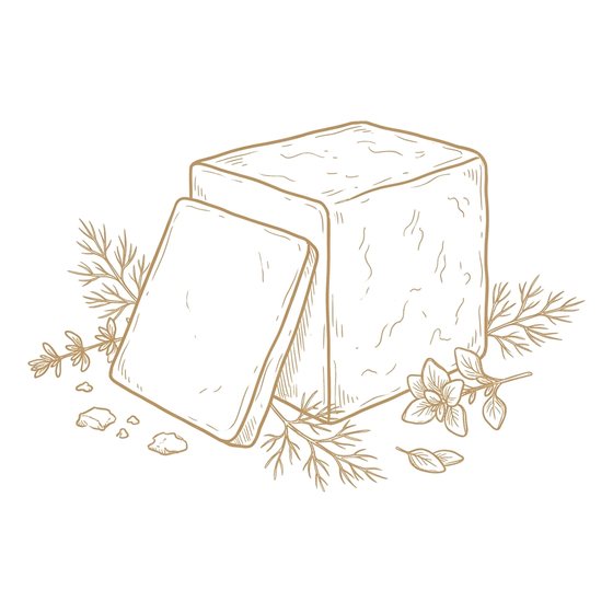 Line illustration of aged cheddar with herbs