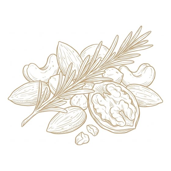 Line illustration of mixed nuts