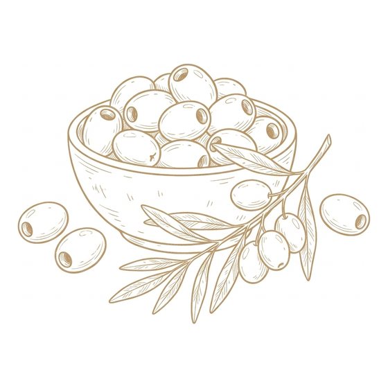 Line illustration of green olives