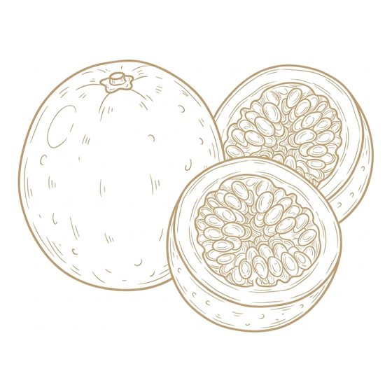 Line illustration of passion fruit rounds