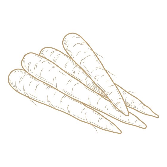 Line illustration of peeled carrots